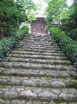 IMG_4021.JPG