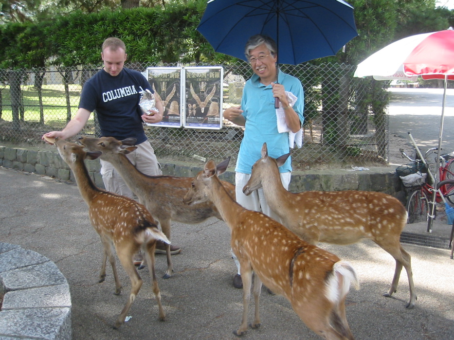 Feeding Deer