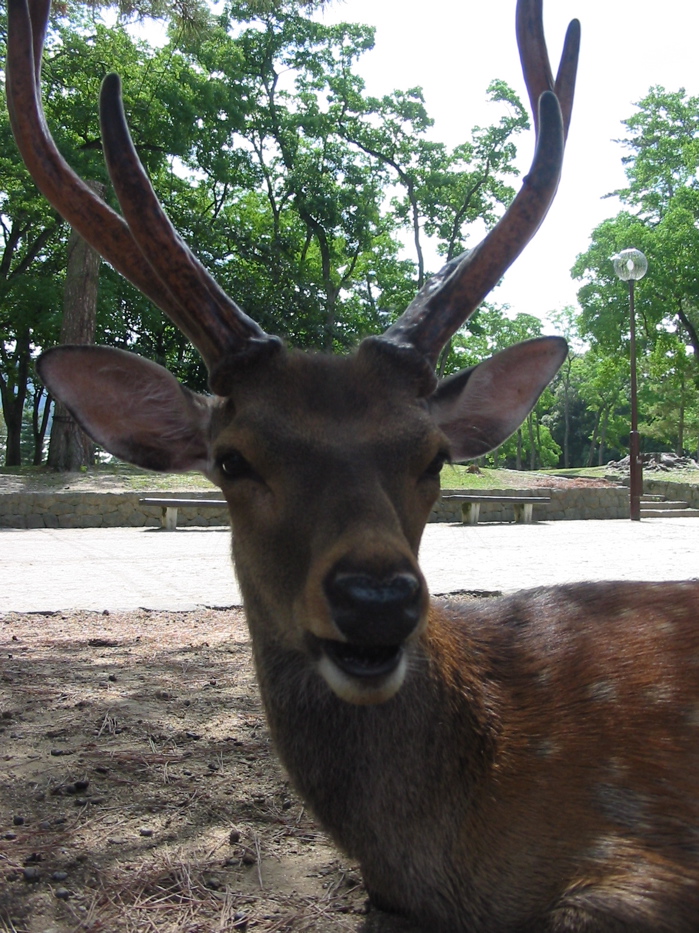 Up Close and Personal