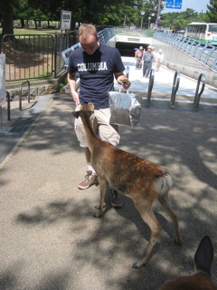 Me Feeding Deer