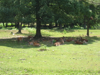 IMG_3925.JPG