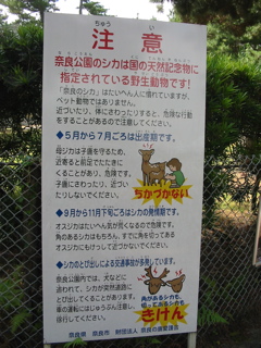 Rules for Deer Nara Park