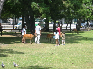 IMG_3942.JPG