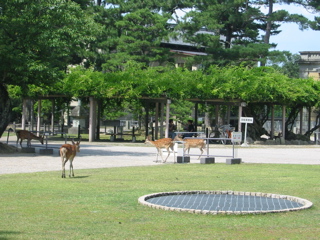 IMG_3909.JPG