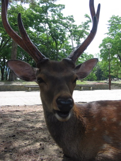 Up Close and Personal