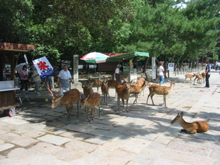IMG_3911.JPG