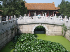 IMG_3476.JPG