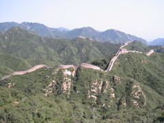 IMG_3489.JPG