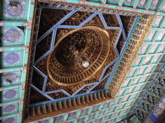 IMG_4119.JPG