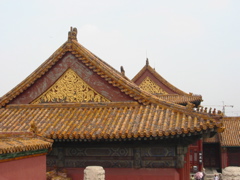 IMG_4084.JPG