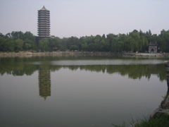IMG_3484.JPG