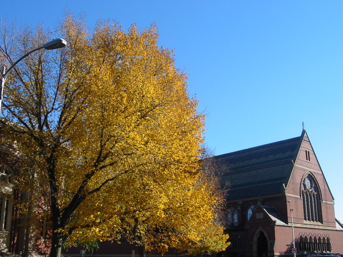harvard fall 2004 - 2