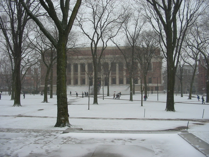 harvard winter 2004 - 8