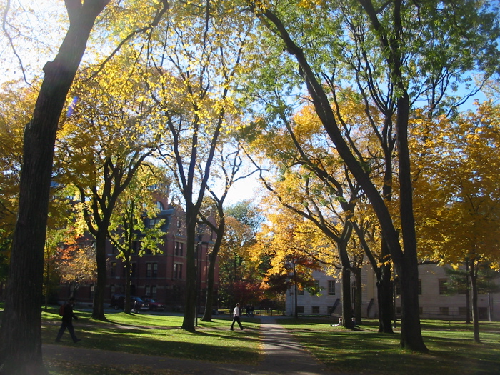 harvard fall 2004 - 7