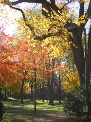 harvard fall 2004 - 4