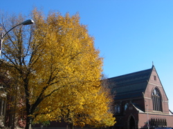harvard fall 2004 - 2