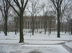 harvard winter 2004 - 8