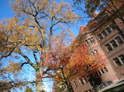 harvard fall 2004 - 1