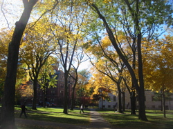 harvard fall 2004 - 7