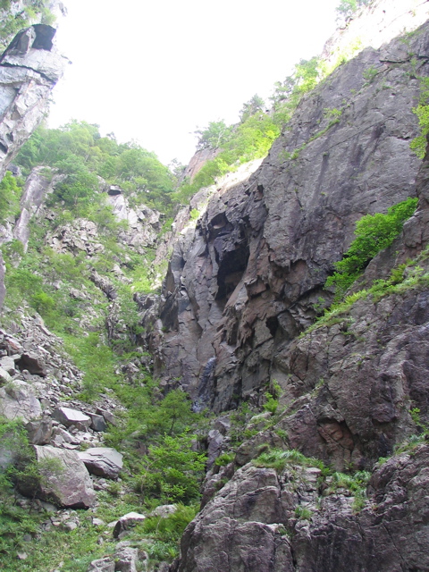 IMG_0736.JPG