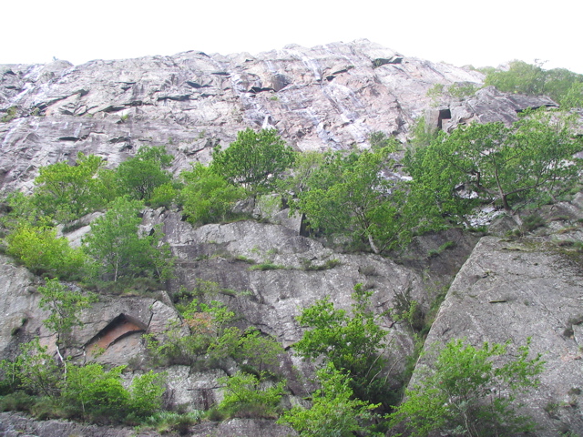 IMG_0735.JPG