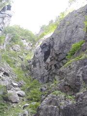 IMG_0736.JPG