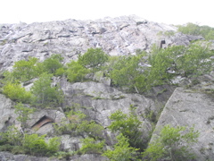 IMG_0735.JPG