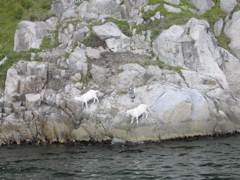 IMG_0296.JPG