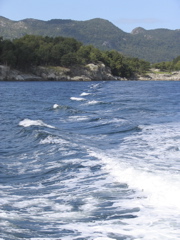 IMG_0654.JPG