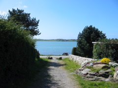 IMG_3284.JPG