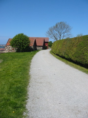 Trail