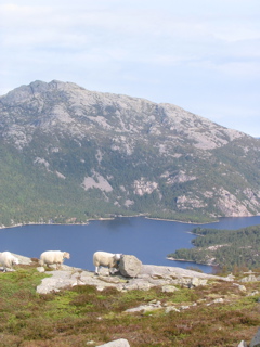 Lake near Trollkjeften